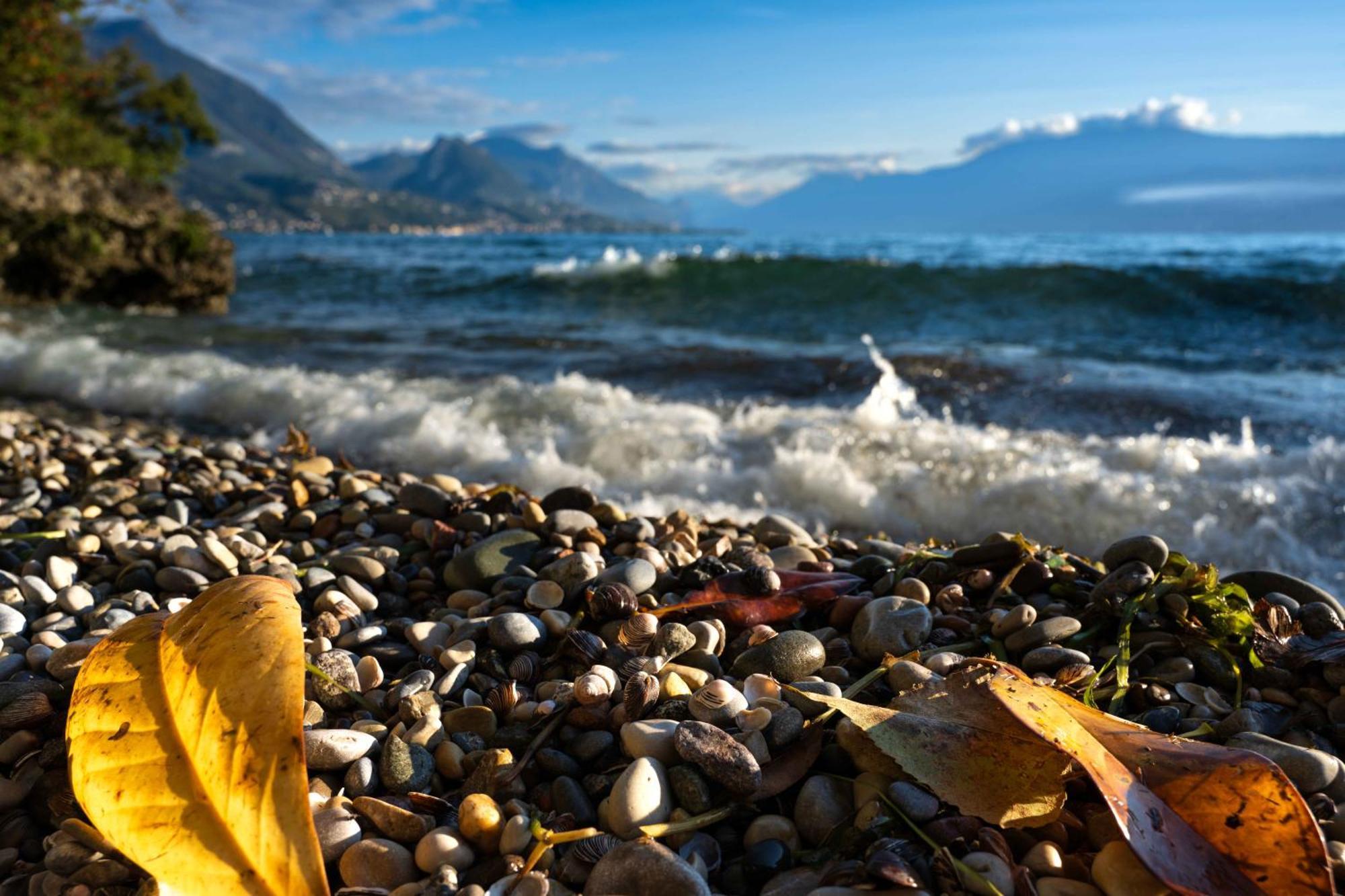 San Carlo Appartamenti Vacanze Soiano Del Lago Dış mekan fotoğraf