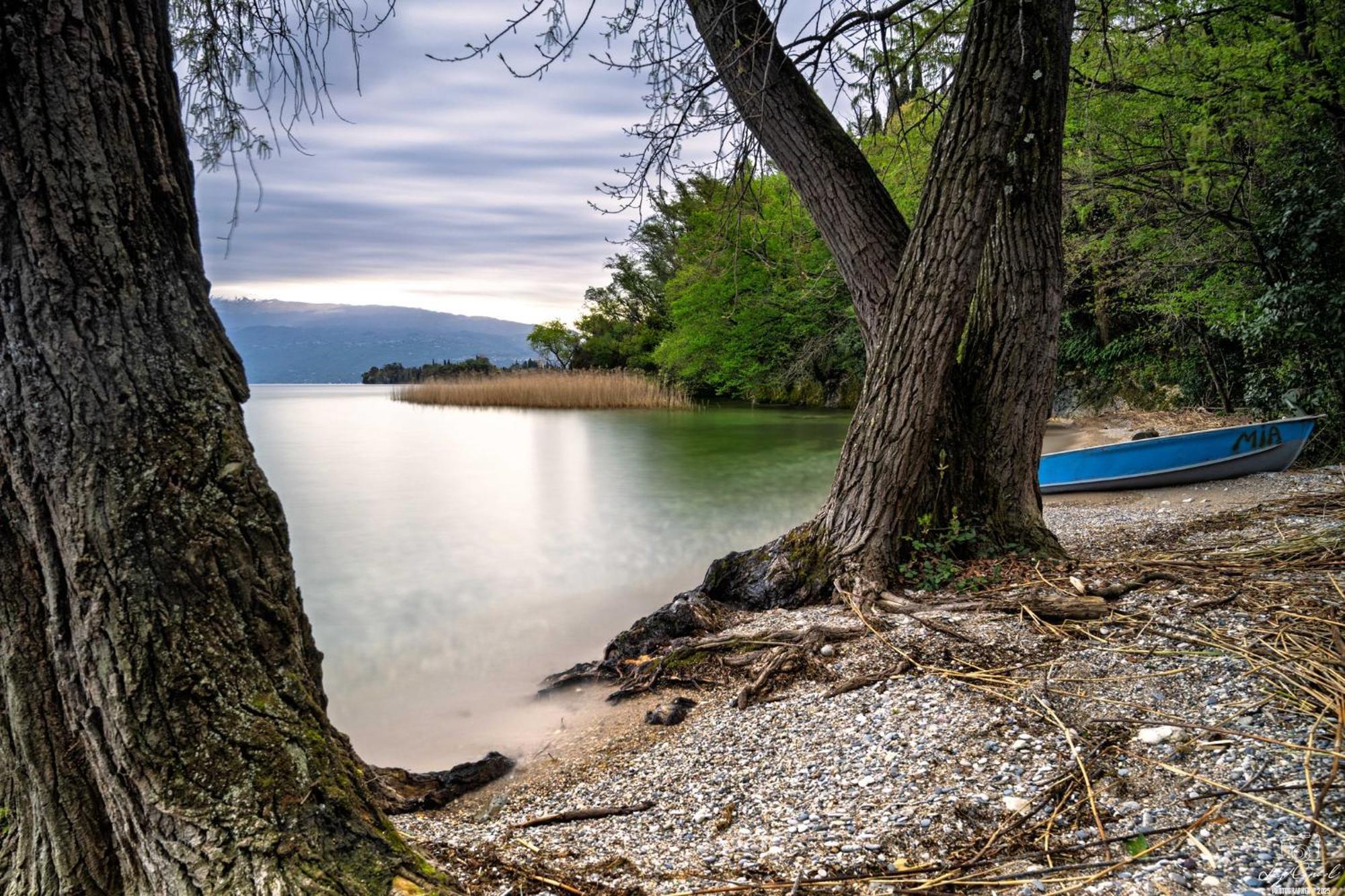San Carlo Appartamenti Vacanze Soiano Del Lago Dış mekan fotoğraf